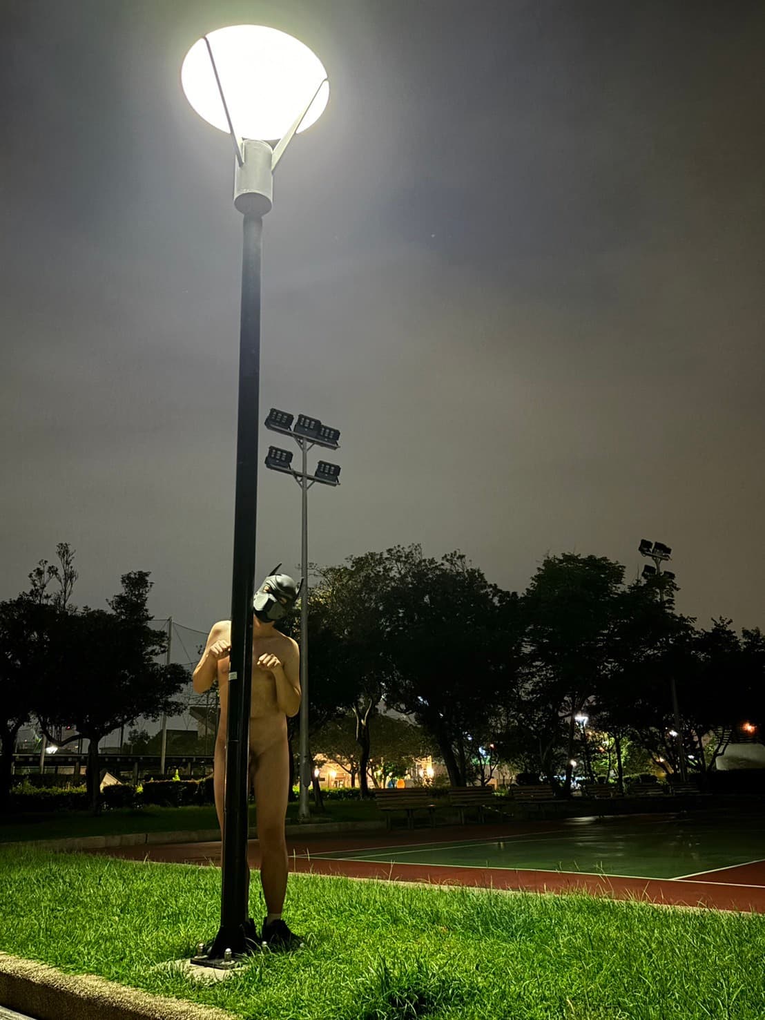 Masked Guardian of the Night