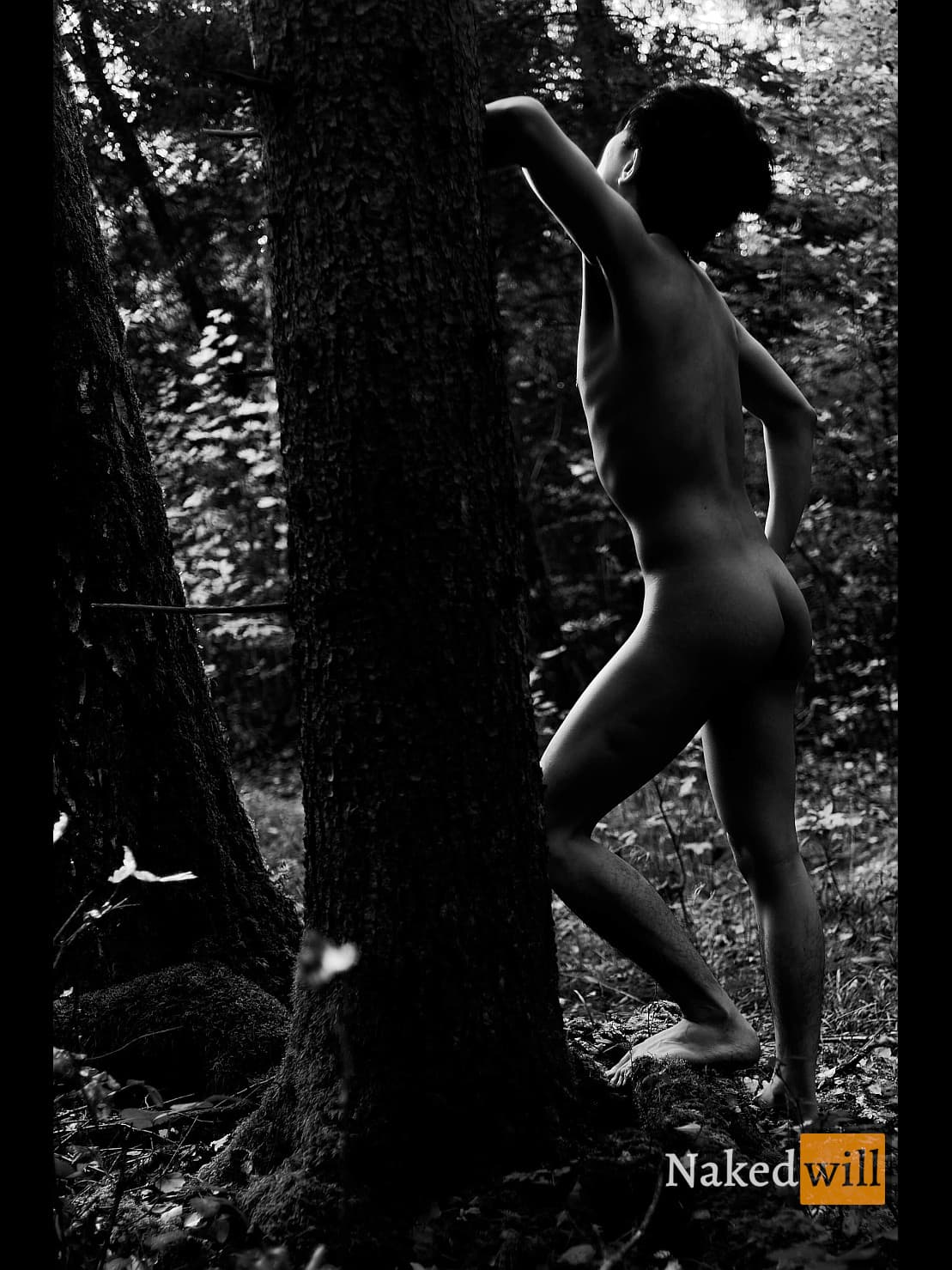 Nude Embrace of the Forest