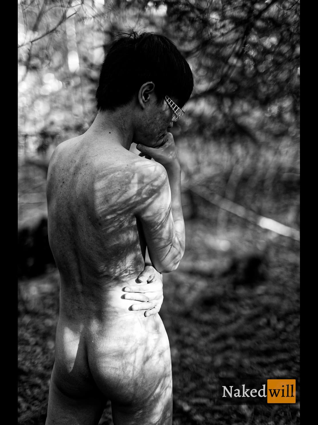 Pensive in Dappled Woods