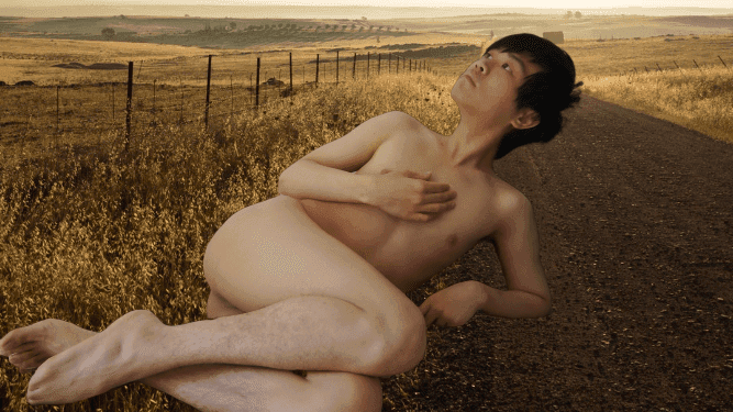 Roadside Reverie in Golden Light