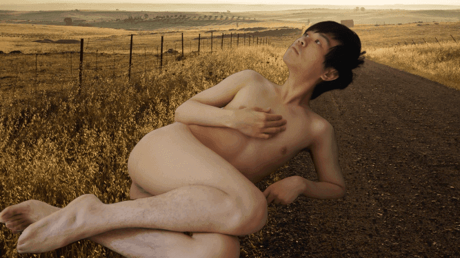 Solitary Fields in Golden Reverie